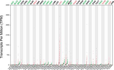 Glypican-3: A Novel and Promising Target for the Treatment of Hepatocellular Carcinoma